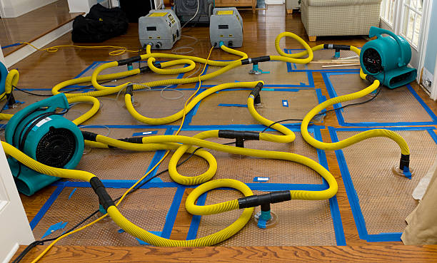 Professional Structural Drying And Dehumidification technician working in Costa Mesa, CA